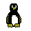 [s:pengy]